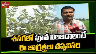 శనగలో పూత నిలబడాలంటే ...ఈ జాగ్రత్తలు తప్పనిసరి | Natural farming | hmtv Agri