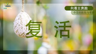 向着主奔跑(今日的默想与考查)_复活