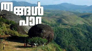 Thangal Para Vagamon✔️| Travel vlog