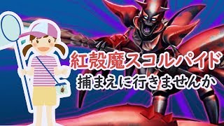 【ドラクエ10】スコルパイド３ 道具使い視点【JGC】