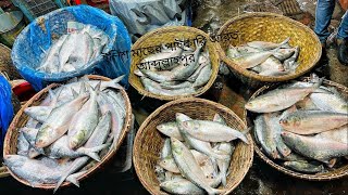 fish market  wholesaler of abdullahpur Dhaka ইলিশ মাছের পাইকারি আরত আব্দুল্লাহপুর ঢাকা