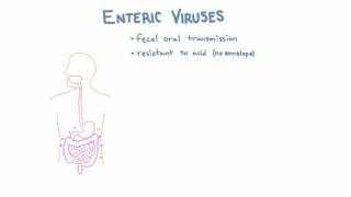 Introduction to Enteric Viruses