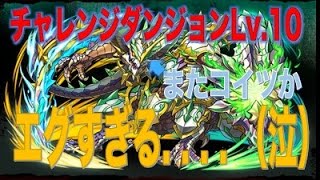 【パズドラ】パズドラレーダー100万DL　チャレンジダンジョンlv.10