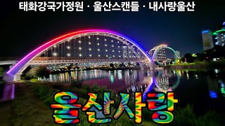 💕울산사랑 : 배경ㆍ음악 - 태화강국가정원 (오미녀), 울산스캔들(이새미), 내사랑울산 (손정익) [JSB런칭TV]