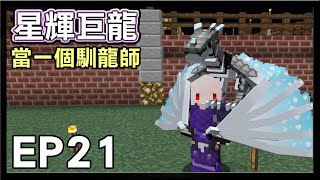 【紅月】Minecraft 星輝巨龍模組生存 EP.21 當一個馴龍師