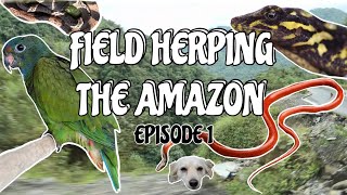 Field Herping the Ecuadorian Amazon Rainforest | Episode 1