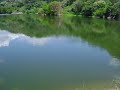 buduruwagala reservoir.avi