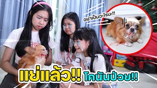 แย่แล้ว!! โคนันป่วยเป็นอะไร!! น้องวีว่า พี่วาวาว l WiwaWawow TV