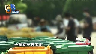 【1818黄金眼】领养猫狗只为虐待它们，小区里大量狗非正常死亡