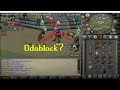 ROATPKZ X OSRS PK VIDEO 30M+ PKED, 1B+  [3M GIVEAWAY,150M OSRS]