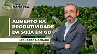 Safra de soja em Goiás deve ter aumento na produtividade, com as chuvas contribuindo para ...