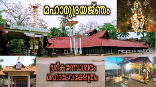 ഇന്ന് ആരംഭിച്ച മഹാരുദ്രയജ്ഞം l Sreekanteswaram Mahadheva Temple l Kshethra_yathra l Amma Bhaaratham