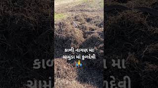 કુળદેવી શ્રી ચામુંડા માં કુળદેવી 🙏