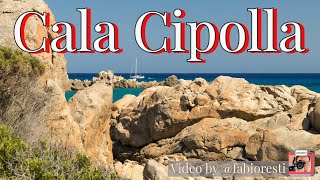 Chia (Sardegna) - Snorkeling a Cala Cipolla - Attenzione alle meduse