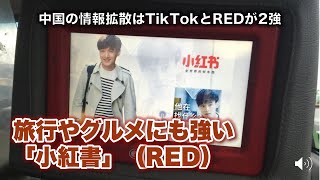 中国の情報拡散はTikTokとREDが2強！旅行やグルメにも強い「小紅書」（RED）