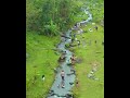 Masya Allah,tidak nyangka di sungai banyak orang