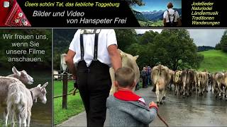 Film-Trailer ... die grösste Viehschau im Toggenburg    NESSLAU 2019