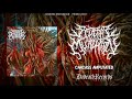 SEDERAI MUTILATION - Carcass Amputated (Promo 2019)