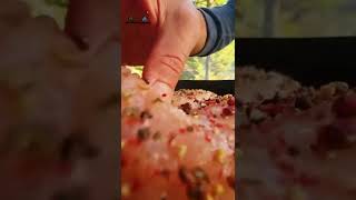 Forest Salsa Chicken 🔥 #shorts #menwiththepot #cooking #asmr #food #fire #nature #life #relax