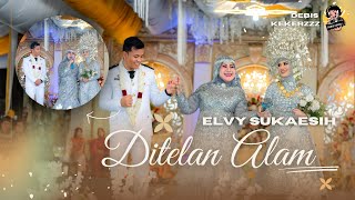 ELVY SUKAESIH / DITELAN ALAM / RAJAWALI MUSIK PALEMBANG / DESA PALDAS #orkes #dangdutviral