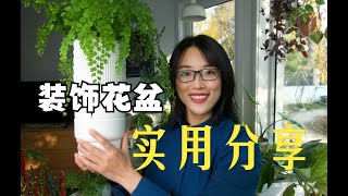 「山烏龜」室內植物盆器的一種思路 | 乾淨又衛生的套盆 | 山烏龜的園藝記錄