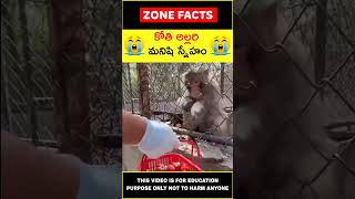 😲కోతి స్నేహం😲Monkey Friendship #telugufacts #wow #shorts #youtubeshorts #zonefacts