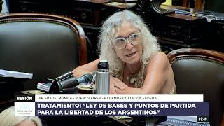 Diputada Frade, Mónica - HCF - Continuación de Sesión - 01-02-2024 - OT