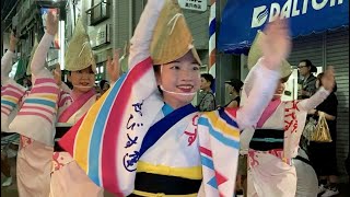 えびす連・東京えびす連　高円寺阿波おどり