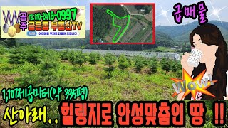 [급매물] 공주금은동부동산TV 753번..충남 공주시 신풍면 쌍대리 소재..1,107㎡(약 335평)..산아래 청정지역에 자리한 가성비 좋은 땅을 소개합니다..!!