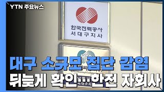 대구 소규모 집단 감염 뒤늦게 확인...한전 자회사 / YTN