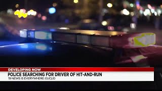 Euclid woman victim of hit and run, suspect remains unknown