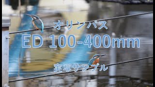 【オリンパスED100-400mm】実写サンプル２