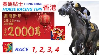 「賽馬貼士」🐴  2023 年 2 月 12 日 沙田🐴    香港賽馬貼士  HONG KONG HORSE RACING TIPS  🐴 RACE  1  2  3  4