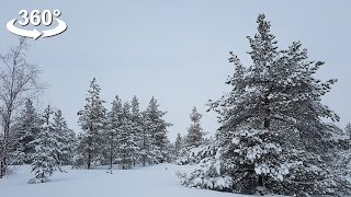 Snowing in Saariselkä, Lapland, Finland, VR 360 video