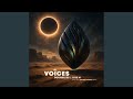 Voices (Charli3 Sauce Remix)