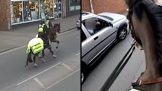 Police on Horseback Pull Over SUV Driver