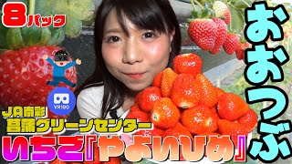 (3D VR180)【大食い】幸せすぎ！おおつぶいちご『やよいひめ』をいっぱい食べたよ。【大塚桃子】【MomokoOtsuka】山盛り 먹방 大食い王  日本語