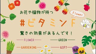 お花や植物が持つ 『#ビタミンF』 驚きの効果