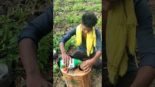 कापसामध्ये तन नियंत्रण असे केले जुगाड round up #viral #jugaad #million #subscribe #cotton #news #1m