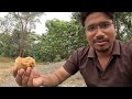 vlog 15 kanha kunda sundargarh grand canyon of odisha deadly place