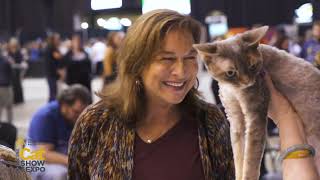 CFA International Cat Show and Expo - The Largest Cat Celebration in the World