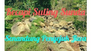 Kecapi suling sunda Dan Suling Sunda Senandung Penyejuk Jiwa Penyelaras Rasa + alam Pedesaan indah