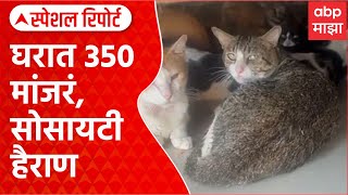 Pune Hadapsar Cat | घरात 350 मांजरं, सोसायटीतील लोकं हैराण, पुण्यातील प्रकार Special Report