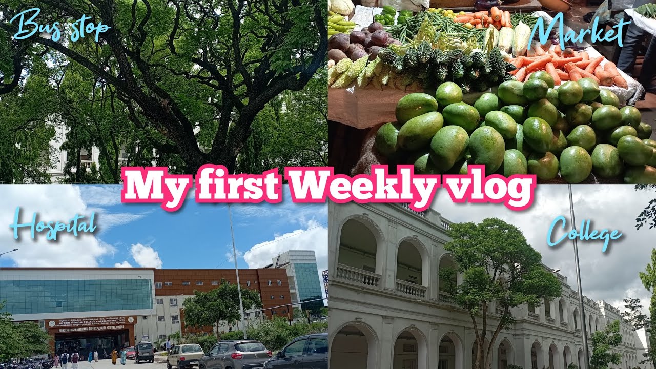 My First Weekly Vlog Youtube