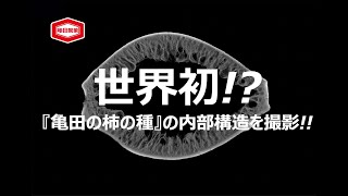 『亀田の柿の種』の内部構造ムービー🎥