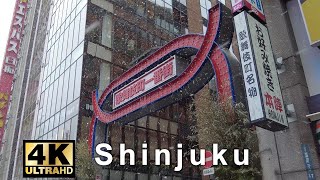 Walking in heavy snow Shinjuku 新宿 Tokyo 東京【japan walk】4k video