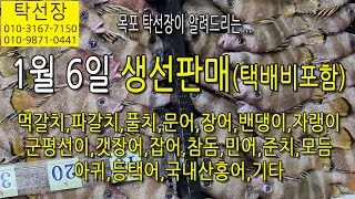 1월 6일, 먹갈치, 파갈치, 풀치, 문어, 장어, 밴댕이, 자랭이, 군평선이, 갯장어, 참돔, 민어, 준치, 아귀, 잡어, 홍어(탁선장 목포 남도농수산 010 3167 7150)