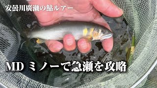 MDミノーで急瀬を攻略【安曇川廣瀬の鮎ルアー】