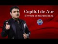 copilul de aur il vreau pe taicutul meu official track