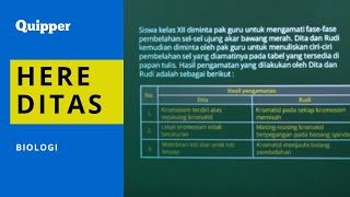 Biologi Kelas 12 - Hereditas | Pembahasan Soal HOTS UTBK